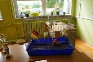 Dzien-Rodziny-07-06-2025-16